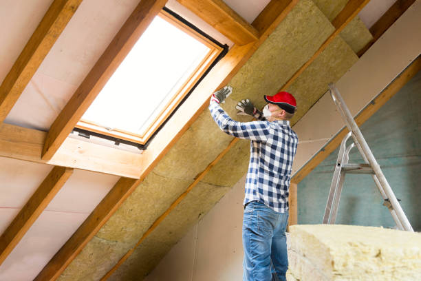 Best Commercial Insulation Services  in Santo Domingo Pueblo, NM